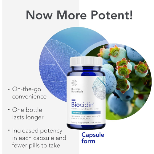 Gut Health Support Capsules for Digestive Balance, Microbial Wellness & Immune Support | Herbal Blend Formula (90 Count)