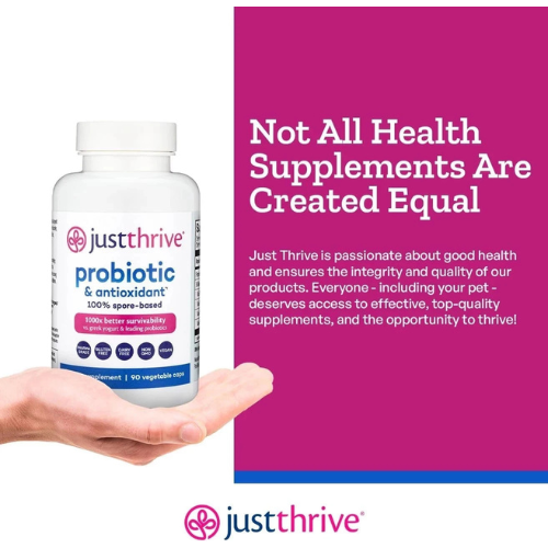 Spore-Based Probiotic Supplement for Gut Health, Digestive Balance & Immune Support | Antioxidant Wellness Capsules (90 Count)
